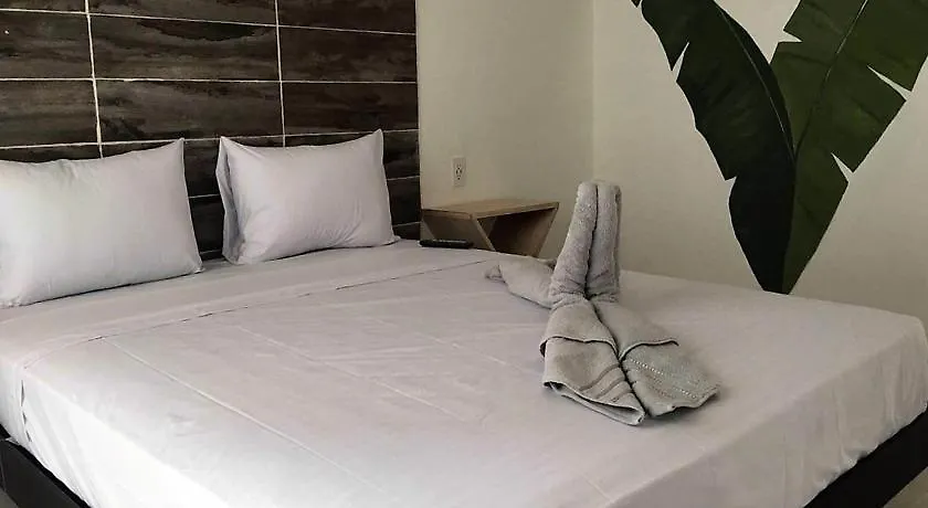 ***  Suite 24 Aparthotel By Xperience Hotels 普拉亚卡门 墨西哥